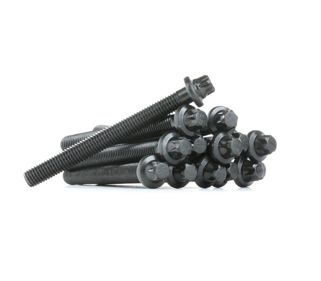 Victor Reinz 14-32002-02 Cylinder Head Bolt Kit BMW E36 E46 E39 E34 E38 Z3 M52 M54