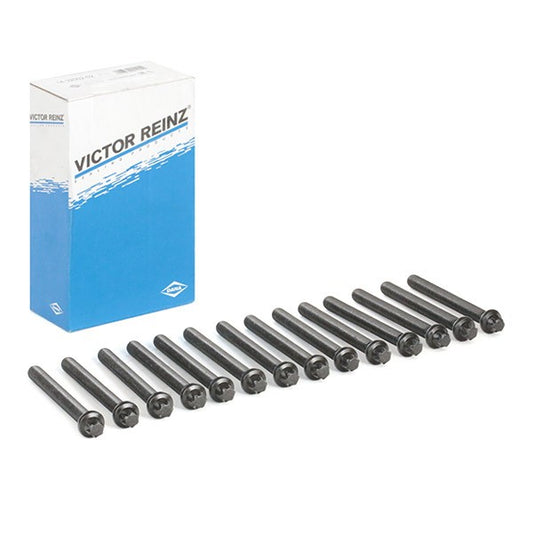 Victor Reinz 14-32002-02 Cylinder Head Bolt Kit BMW E36 E46 E39 E34 E38 Z3 M52 M54
